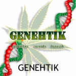 Genetik Seeds